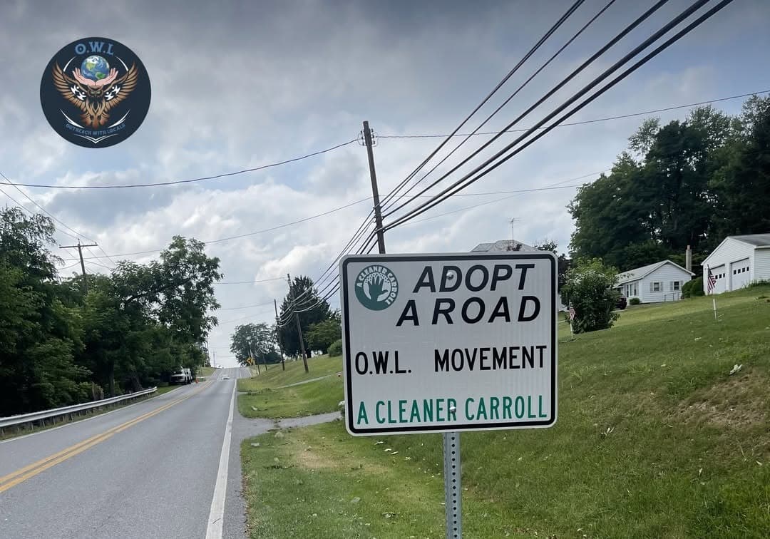 A Cleaner Carroll Road Adoption